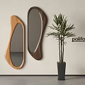 Poliform Irregular Shaped Mirrors with Wooden Frames in Modern Interior with Green Plant