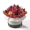 Potted Bonsai Plant With Pink Red Feathery Foliage Pine Cones Yellow Fruits In Beige Container