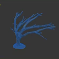 Bare Tree With Leafless Branches and Natural Soil Base Standing Against Dark Background