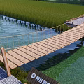 Scenic Rope Bridge With Wooden Plank Deck Over Water Area Near Rice Field