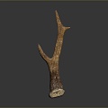 Antler antler herbs daily necessities 3d model