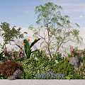 Vibrant Plant Combination With Trees Shrubs Colorful Flowers Rocks And White Wall