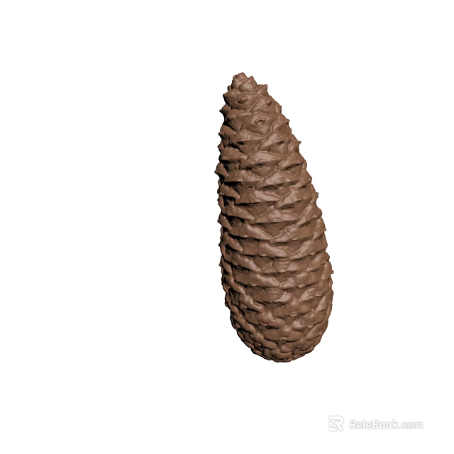 Brown Pine Cone With Detailed Scales And Natural Texture Isolated On White 3d model 