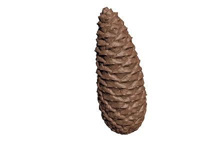 Brown Pine Cone With Detailed Scales And Natural Texture Isolated On White 3d model
