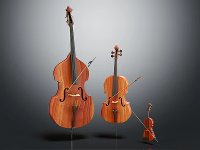 Wooden String Instruments Display with Contrabass Viola and Violin in Various Sizes 3d model
