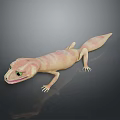 Lizard Anime Lizard Chameleon Cartoon Lizard Reptile Cold Blooded Animal Reptile Class 3d model