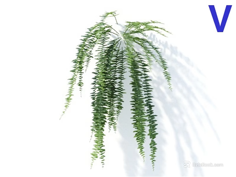 Fresh Green Hanging Plant With Long Dangling Leaves Against White Background 3d model 