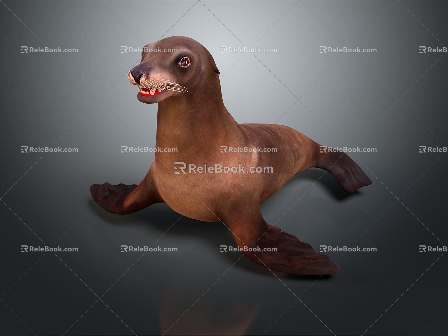 Seal Sea Animal Anime Character Game Character Cartoon Character Animation Character Anime Animal 3d model