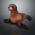 Seal Sea Animal Anime Character Game Character Cartoon Character Animation Character Anime Animal 3d model