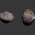 Fresh Purple And White Onions Whole And Halved On Black Background