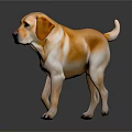 Yellow And White Labrador Dog Model Standing On Dark Background With Reflection 3d model