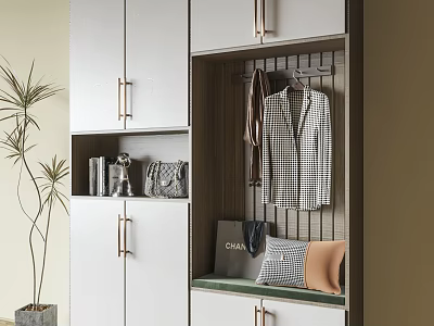 Modern Shoe Cabinet Interior Design With Hanging Clothes Cabinets Handbag And Books 3d model