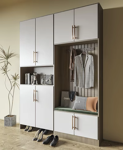 Modern Shoe Cabinet Interior Design With Hanging Clothes Cabinets Handbag And Books 3d model