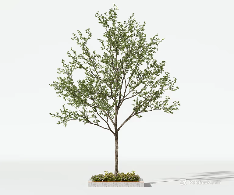 Arbor With Lush Green Leaves And Upright Trunk On Base With Small Plants 3d model 
