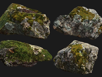 Modern Stone Moss Stone Moss Stone Nature Stone Forest Stone Meadow Stone Close-up Stone 3d model