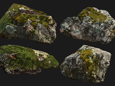 Natural Mossy Stones And Wooden Elements For Rustic Outdoor Decorative Use 3d model