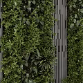 Green Living Wall With Vertical Slats And Various Plants