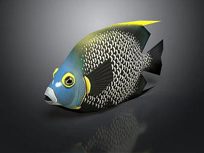 Colorful Tropical Fish With Blue Head Yellow Eye Rings Black White Scales And Yellow Fin 3d model