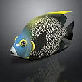Colorful Tropical Fish With Blue Head Yellow Eye Rings Black White Scales And Yellow Fin