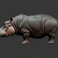 Detailed Realistic 3D Hippo Model Standing on Dark Background with Reflection 3d model