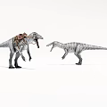 Two Realistic Dinosaurs With Saddle And Open Mouth Facing Each Other 3d model