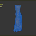 3D Model of Man's Foot Featuring Realistic Anatomical Details and Digital Rendering Design
