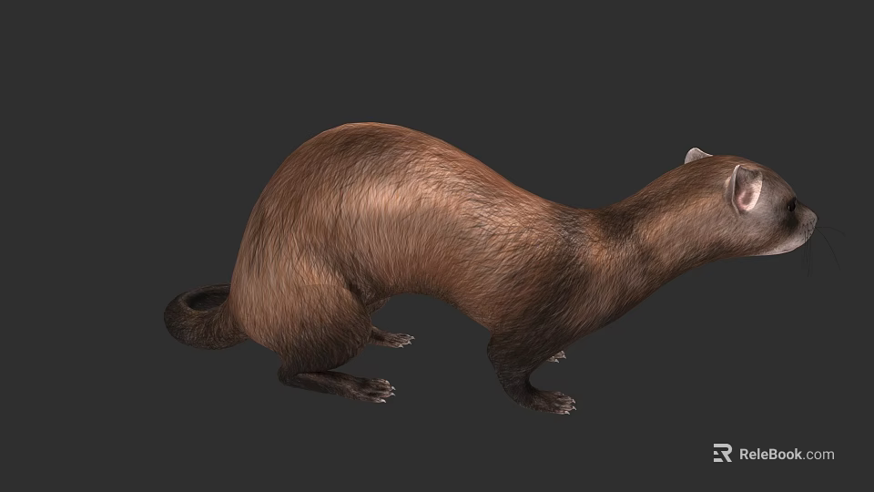 Realistic Brown Otter 3D Model with Detailed Fur and Natural Posture 3d model 