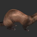 Realistic Brown Otter 3D Model with Detailed Fur and Natural Posture