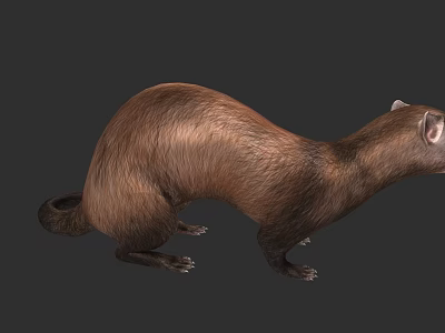 Realistic Brown Otter 3D Model with Detailed Fur and Natural Posture 3d model
