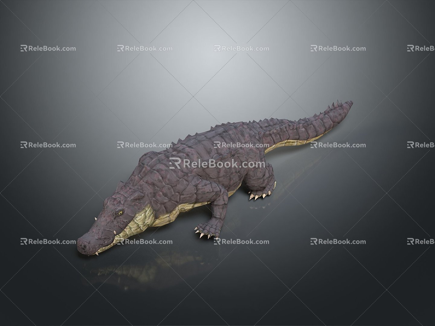 Crocodile Alligator Nile Crocodile carnivore reptile cold-blooded animal reptile reptile 3d model