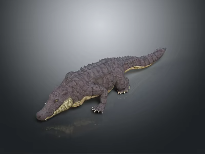 Realistic 3D Crocodile Reptile Model With Scaly Skin And Long Tail On Dark Background 3d model