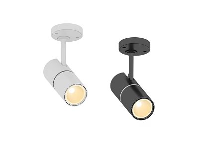 Modern White and Black Ceiling Mounted LED Downlight Spotlight with Sleek Design 3d model