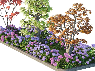 Colorful Garden Bed With Purple Pink Hydrangeas And Red Green Orange Trees 3d model