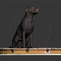 Brown Dog Sitting Calmly On A White Mat With Gear Patterns 3d model