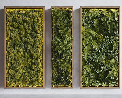 Three Framed Indoor Living Plant Wall Panels with Moss Ferns and Greenery 3d model
