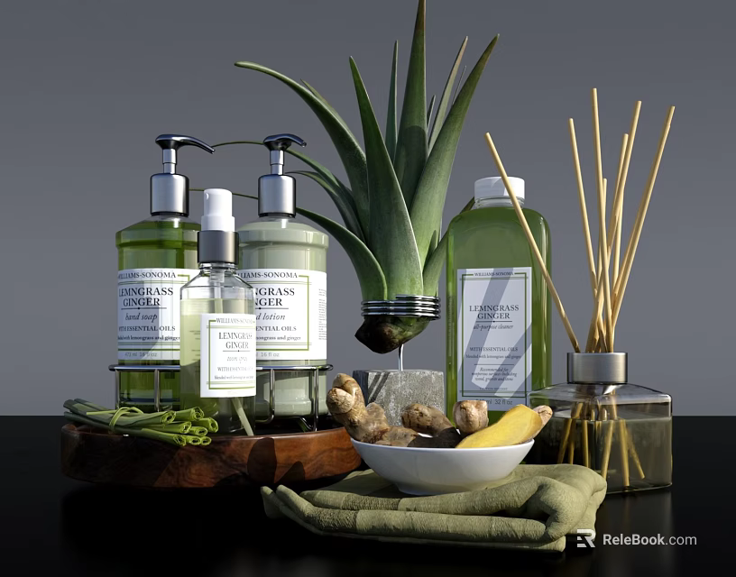 Bathroom Accessories Set with Liquid Soap Bottles Aloe Vera Plant Reed Diffuser and Green Towel 3d model 