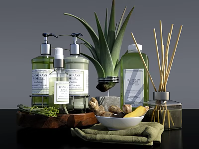 Bathroom Accessories Set with Liquid Soap Bottles Aloe Vera Plant Reed Diffuser and Green Towel 3d model