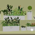 Various Green Plant Combinations In White Planters With Flowers And Foliage