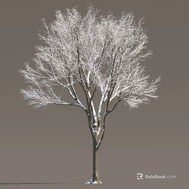 Snow Covered Arbor Tree With Bare Branches Against Gray Background 3d model 