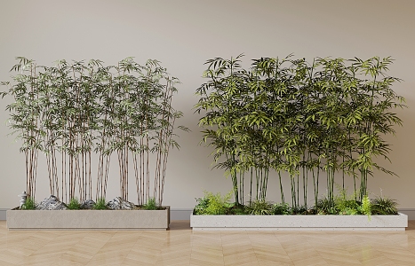 plant bamboo 3d model