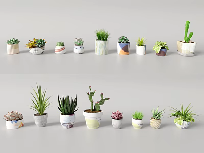 Various Small Decorative Bonsai and Potted Plants with Colorful Ceramic Pots for Indoor Home Decoration 3d model