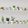 Various Small Decorative Bonsai and Potted Plants with Colorful Ceramic Pots for Indoor Home Decoration