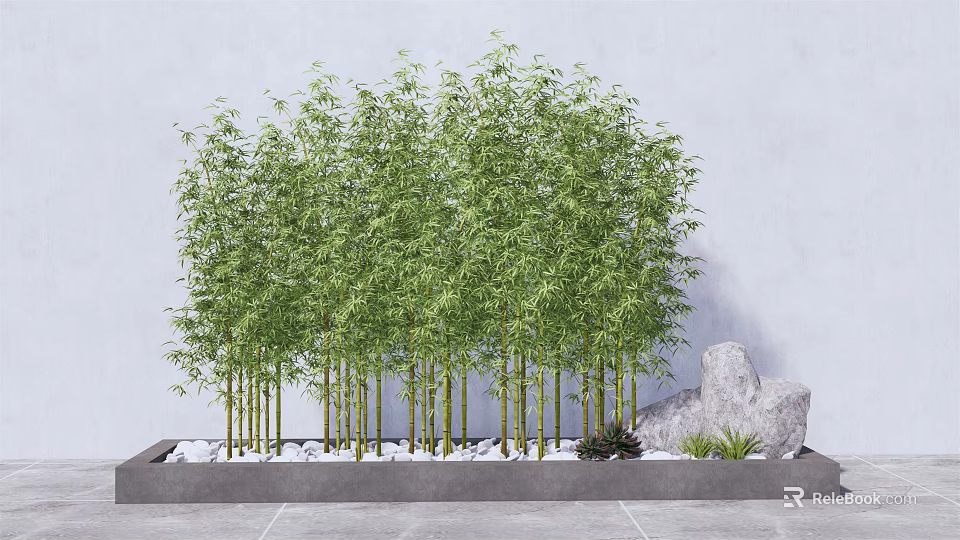 Lush Green Bamboo Plants in Modern Garden Setting With White Pebbles and Gray Stone 3d model 