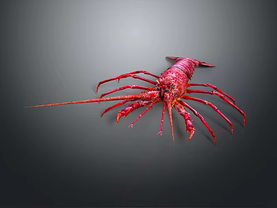 Red Lobster Marine Creature Showcased On Dark Background With Vivid Color 3d model