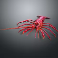 Red Lobster Marine Creature Showcased On Dark Background With Vivid Color