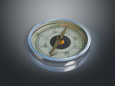 Classic Brass Cased Compass with Accurate Magnetic Needle for Outdoor Navigation 3d model