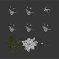 Decorative Plants With White Flowers And Green Leaves In Various Forms