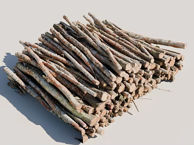 Freshly Cut Arbor Tree Branches Neatly Stacked in a Large Pile 3d model