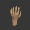 3D Model of Human Hand Organ With Natural Hair Texture Details