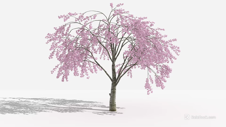 Vibrant Pink Flowering Tree With Full Blossoms Brown Trunk And Lush Branches 3d model 